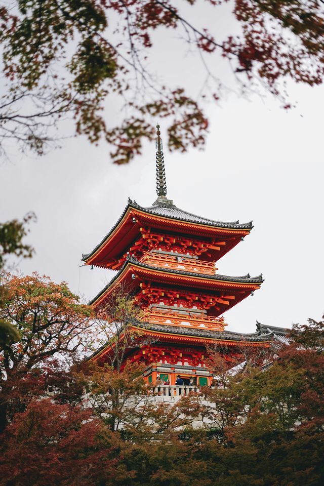 Eine rote, mehrstufige Pagode wird von Ästen mit bunten Herbstblättern vor einem bedeckten Himmel eingerahmt.