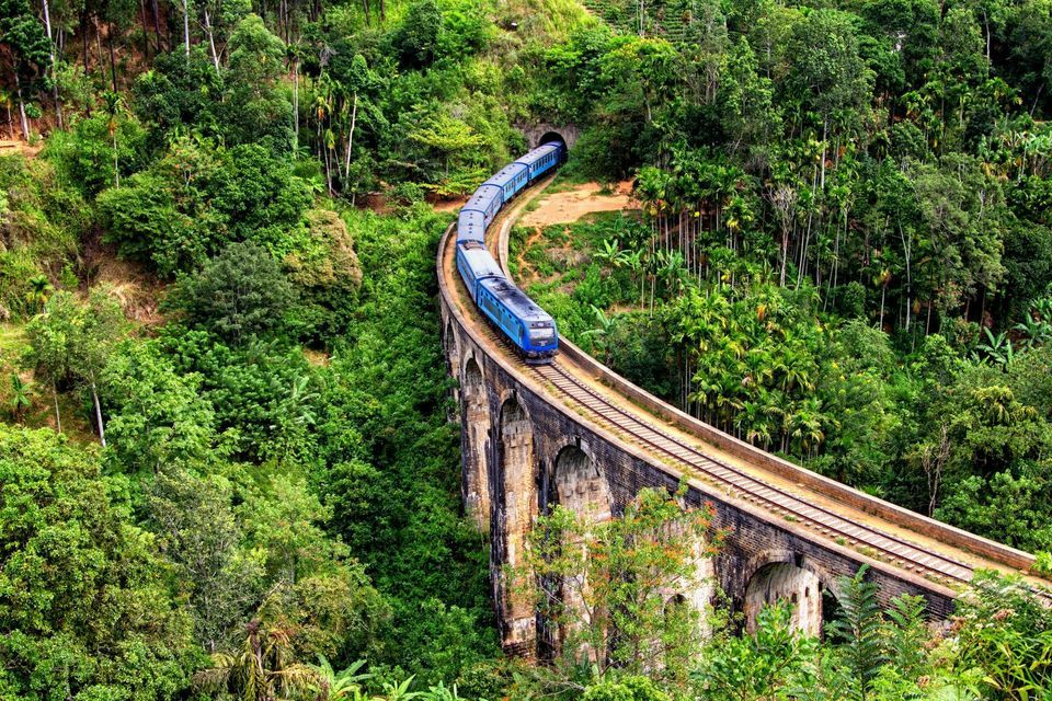 Un treno blu attraversa un viadotto ad archi in pietra circondato da una lussureggiante foresta verde ed emerge da una galleria.