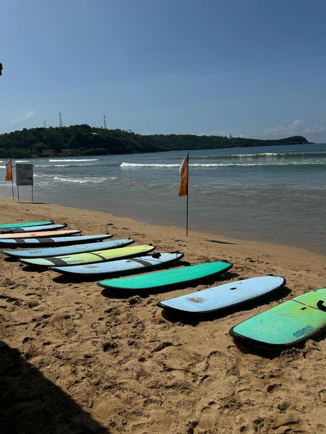 Tavole da surf colorate riposano su una spiaggia sabbiosa vicino all'oceano, con una costa verde in lontananza.