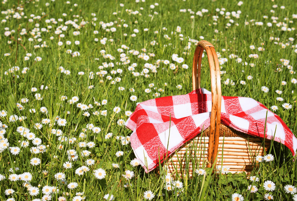 Un cesto da picnic in vimini con una tovaglia a quadri rossi e bianchi si trova in un campo di erba verde e margherite bianche.