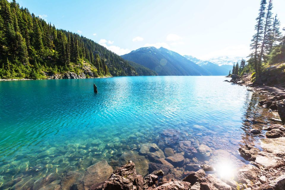 Klares, türkises Wasser eines Alpensees, mit felsigem Ufer und umgeben von kiefernbewaldeten Bergen unter sonnigem Himmel.