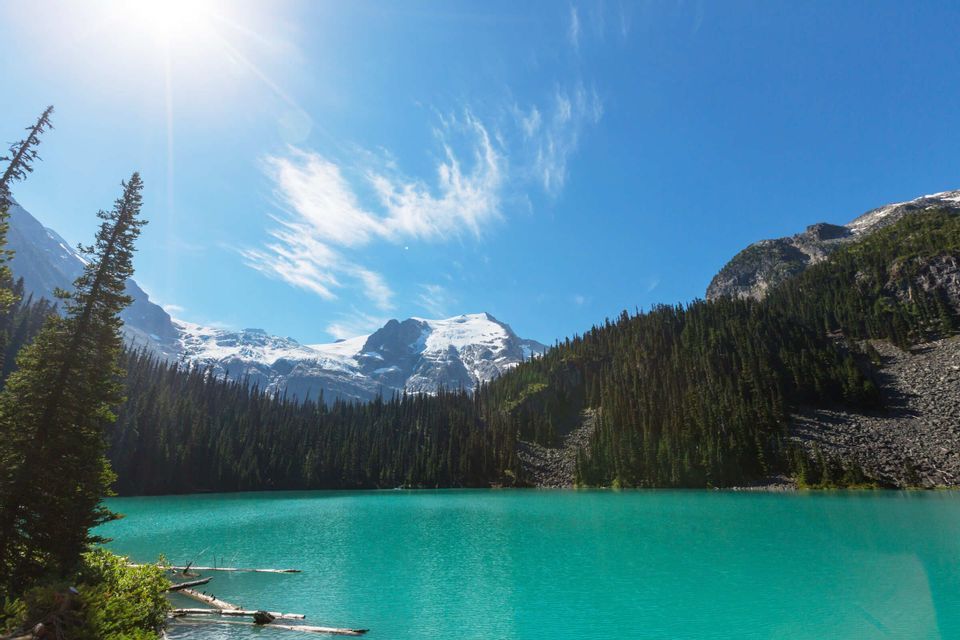 Ein türkisfarbener Alpensee liegt vor einem dichten Kiefernwald und schneebedeckten Bergen unter einem sonnigen blauen Himmel.