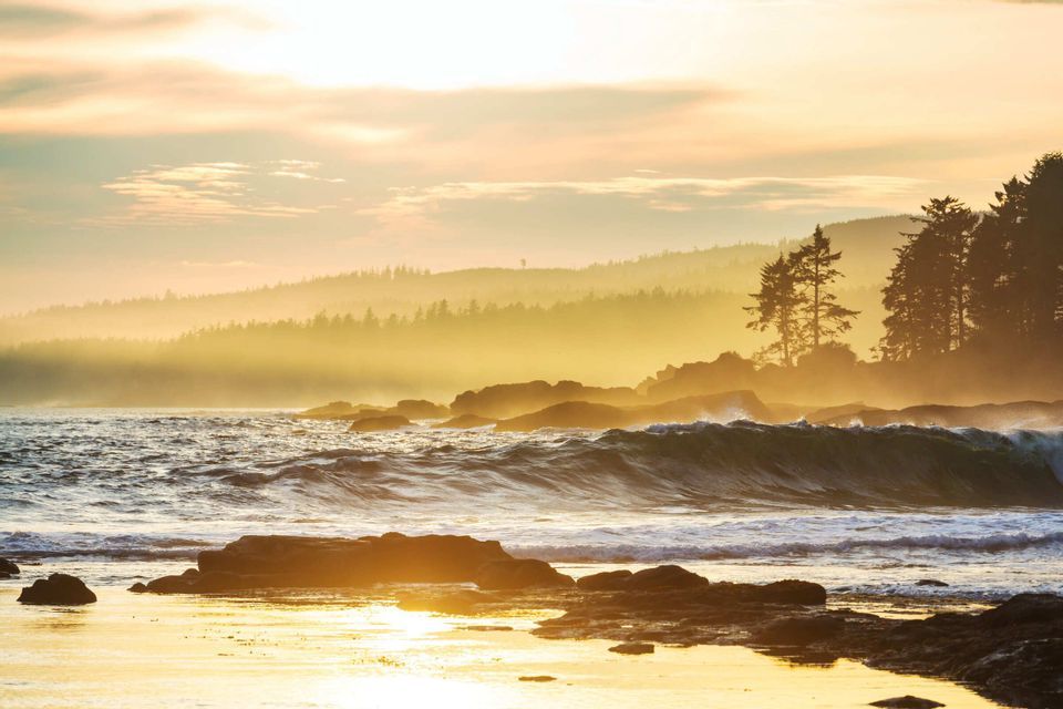 Goldenes Sonnenlicht beleuchtet brandende Wellen an einem felsigen Strand, mit nebligen, bewaldeten Hügeln im Hintergrund.
