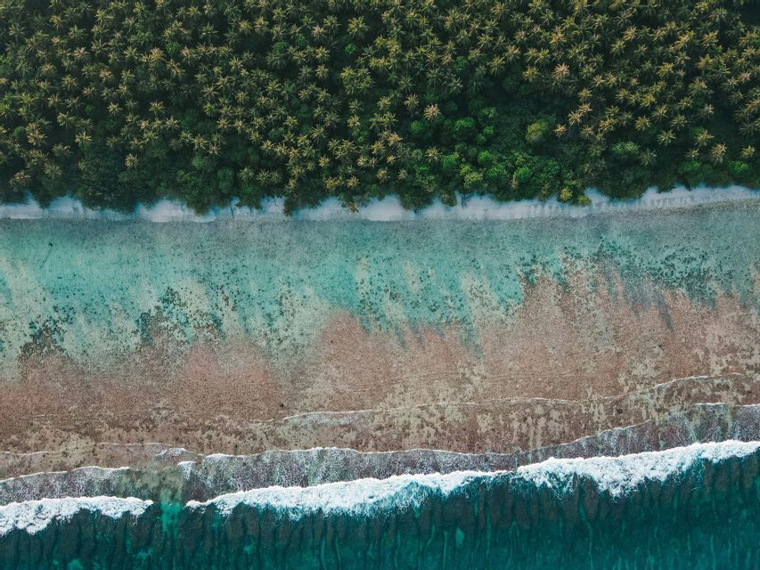 Veduta aerea dall'alto di una costa dove una fitta foresta di palme incontra una spiaggia di sabbia bianca e un oceano turchese con barriere coralline.