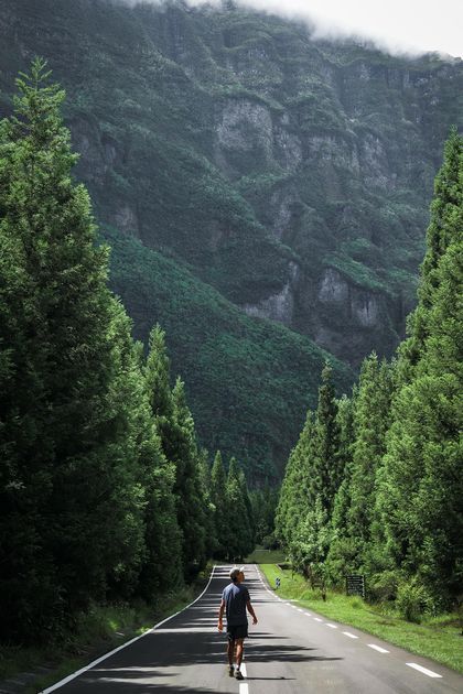 Une personne marche au milieu d'une route vide bordée de grands arbres verts en direction d'une grande montagne couverte de forêt.