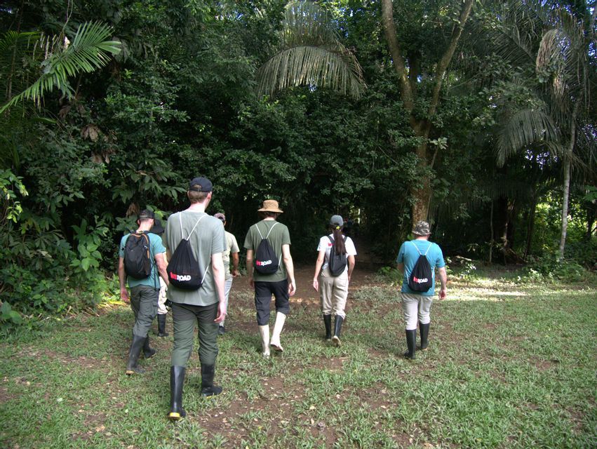 Eine WeRoad-Gruppe mit Gummistiefeln läuft von einer grasbewachsenen Lichtung in den dichten Dschungel.
