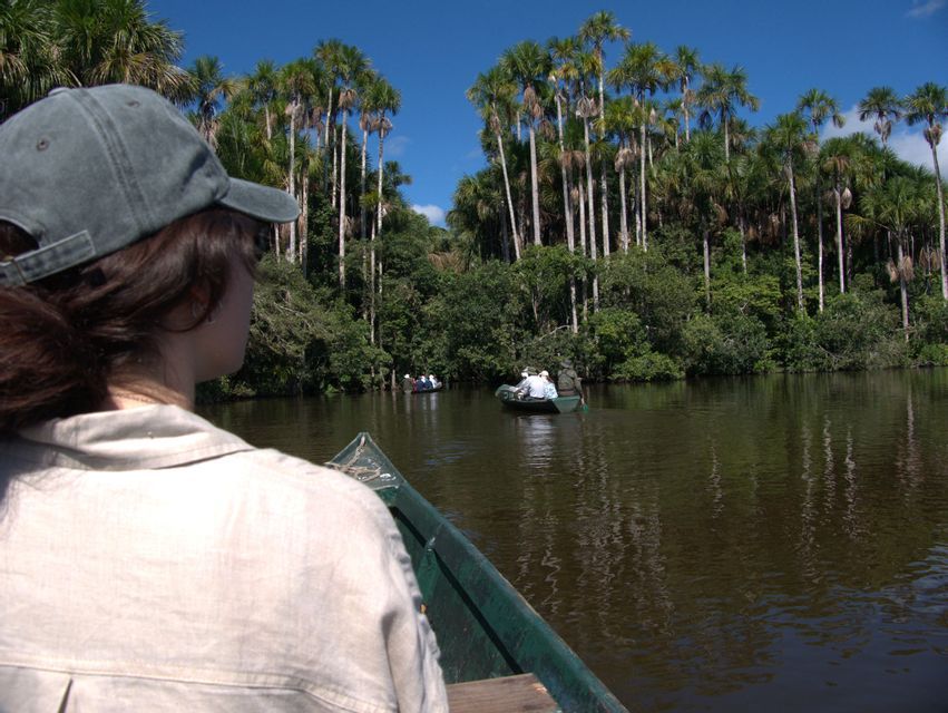 Eine WeRoad-Gruppenreise führt mit kleinen Booten auf einem ruhigen Fluss entlang, der von dichtem Dschungel mit hohen Palmen umgeben ist.