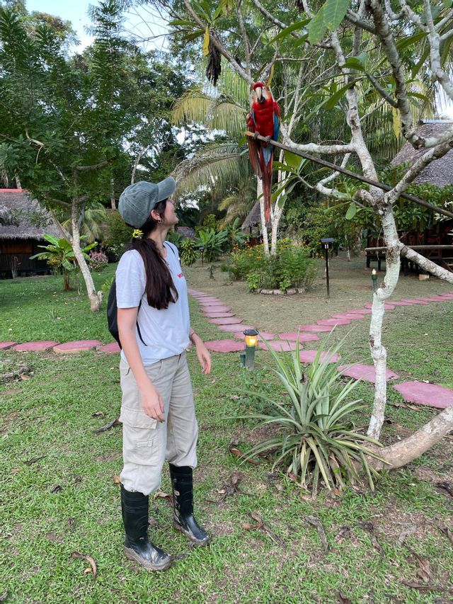 Una donna con berretto e stivali guarda in alto un'ara scarlatta appollaiata su un ramo d'albero in un giardino lussureggiante.