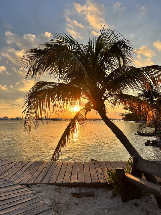 A palm tree is silhouetted by the setting sun over the ocean, viewed from a sandy shore with a wooden deck.