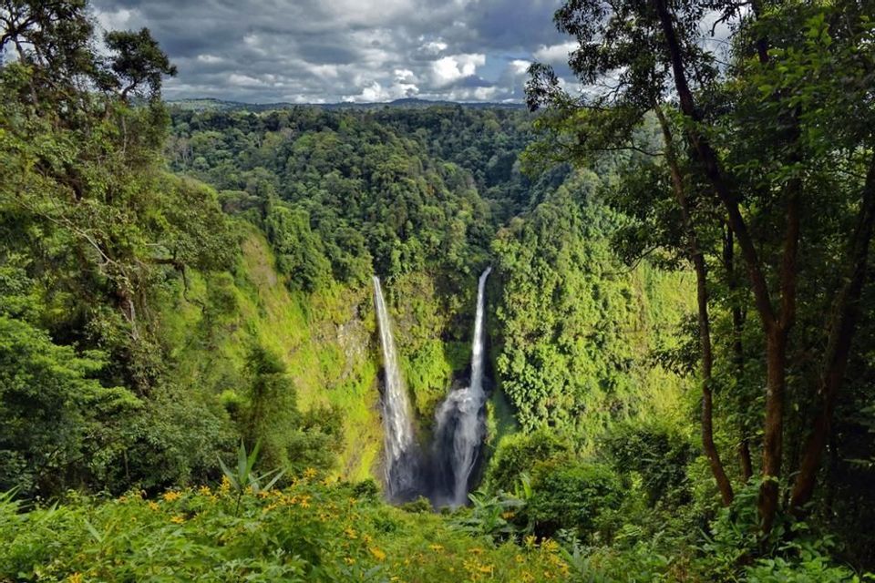 Deux cascades plongent dans un ravin au cœur d'une jungle dense et verte, sous un ciel nuageux.