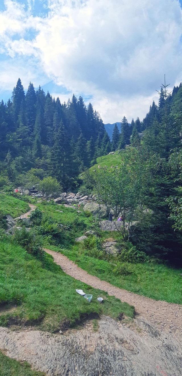 Un viaggio di gruppo WeRoad su un sentiero sterrato tortuoso in una valle di montagna, circondato da rocce e una fitta pineta sotto un cielo nuvoloso.