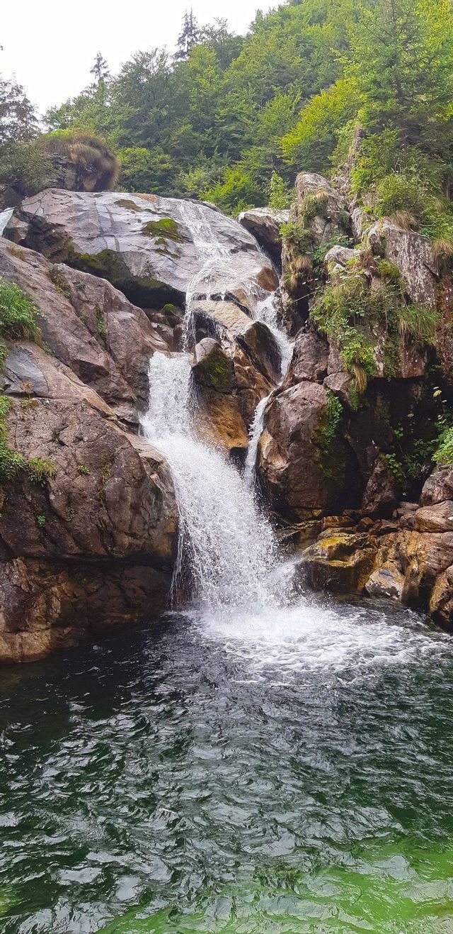 Una cascata scende da una parete rocciosa, ricoperta di muschio e alberi, in una pozza d'acqua verde scuro sottostante.