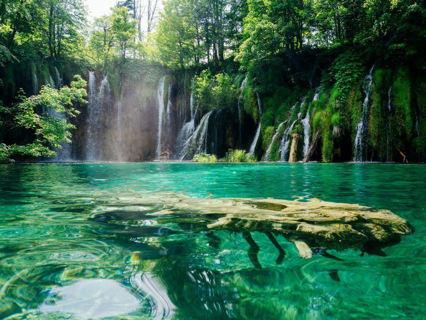 Un tronco sommerso in un lago limpido e turchese, di fronte a cascate che scendono da una scogliera boscosa e ricoperta di muschio.