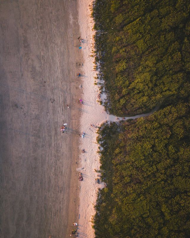 Una vista aérea cenital de una playa de arena bordeando un denso bosque verde, con gente relajándose a la orilla del agua.