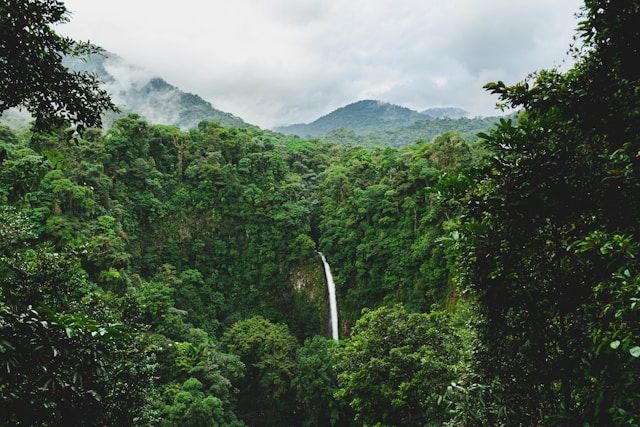 Una cascada alta cae en un profundo cañón rodeado por una exuberante selva tropical, con montañas brumosas de fondo.