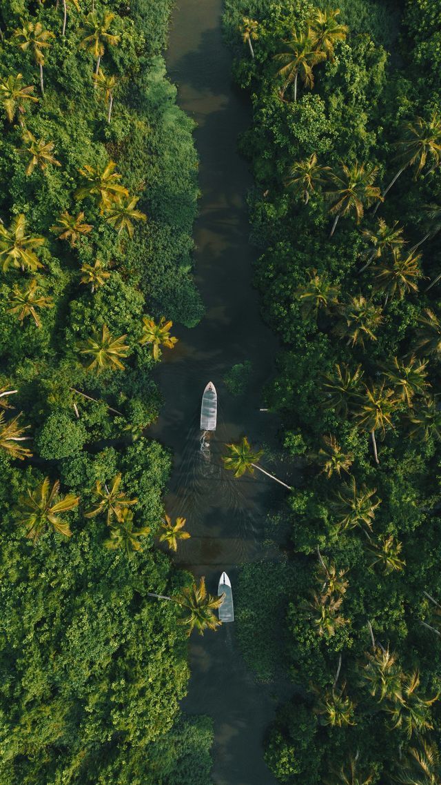 Vista aérea de dos barcos en un río rodeado de una densa selva de palmeras verdes.