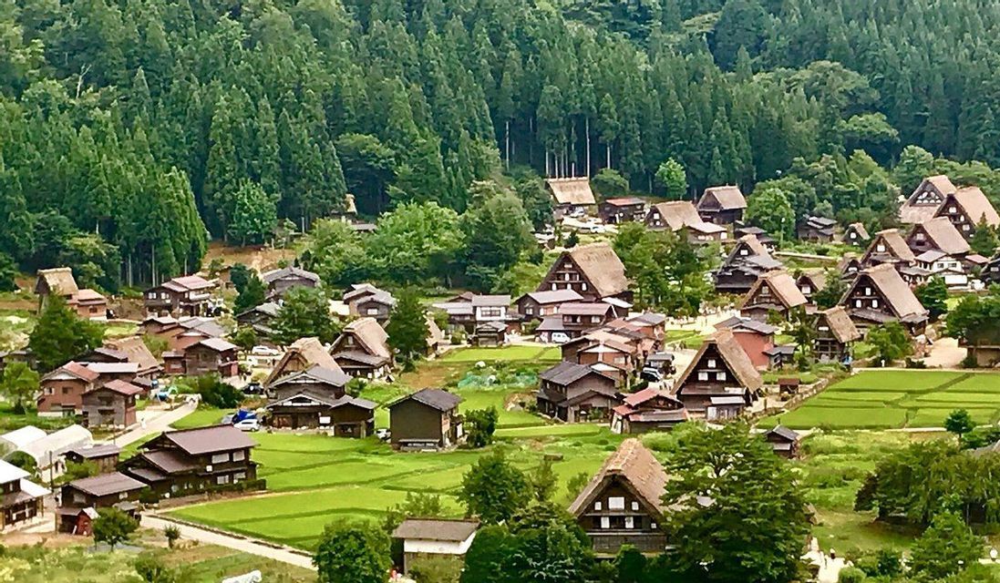 Una vista aérea de un pueblo tradicional con casas de techos de paja, enclavado entre verdes arrozales y un denso bosque.