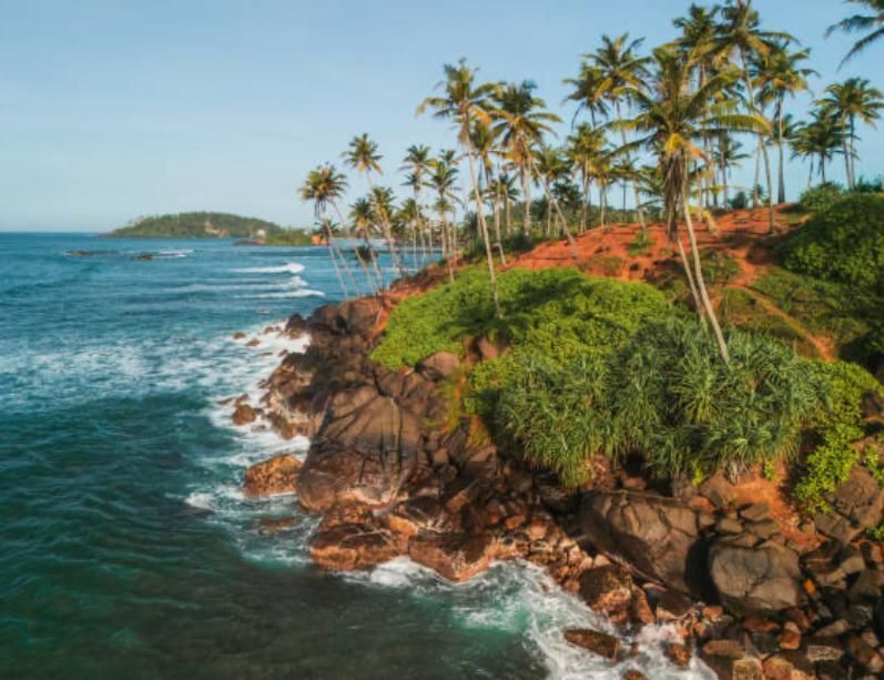 Una vista aerea di una costa tropicale con palme su una collina di terra rossa e onde turchesi che lambiscono rocce scure.