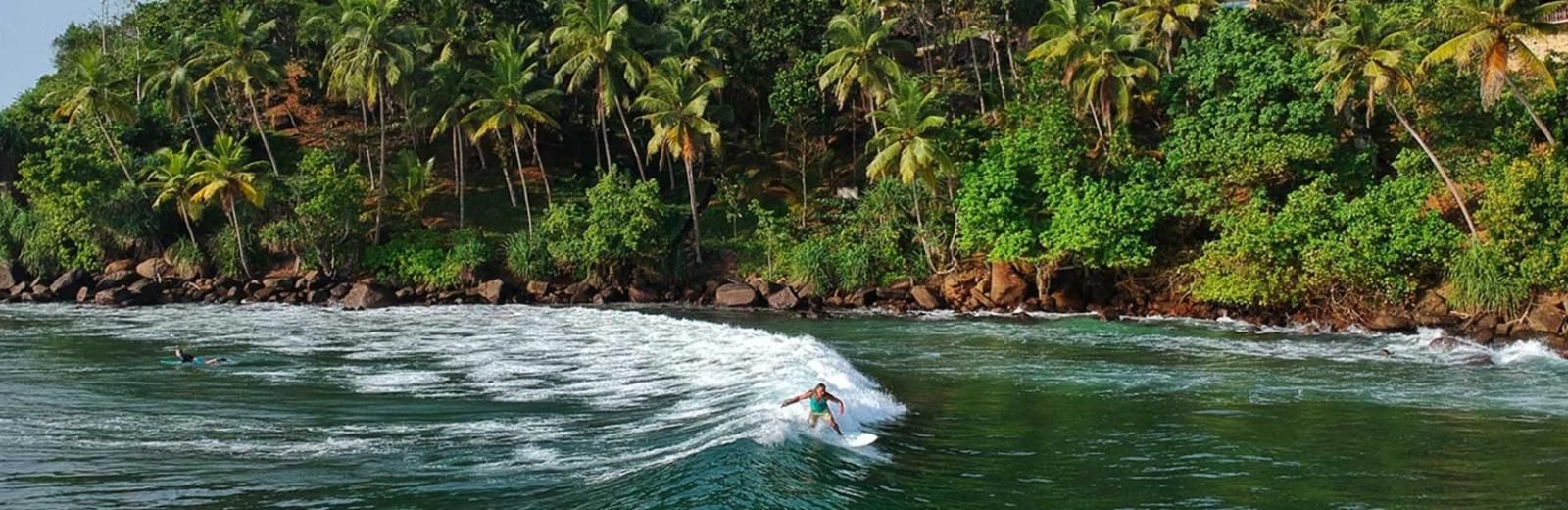Una persona fa surf su un'onda in acqua verde dell'oceano di fronte a una costa rocciosa con palme rigogliose.
