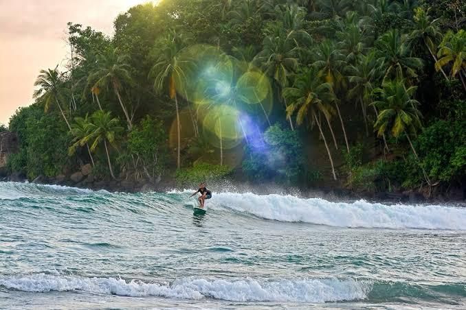 Un surfista cavalca un'onda lungo una costa tropicale piena di palme, con un sole splendente che crea un bagliore.