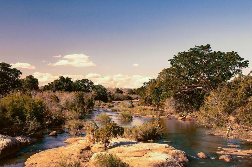 Un ampio fiume scorre attraverso un paesaggio roccioso circondato da fitti cespugli e alberi sotto un cielo azzurro limpido con nuvole sparse.