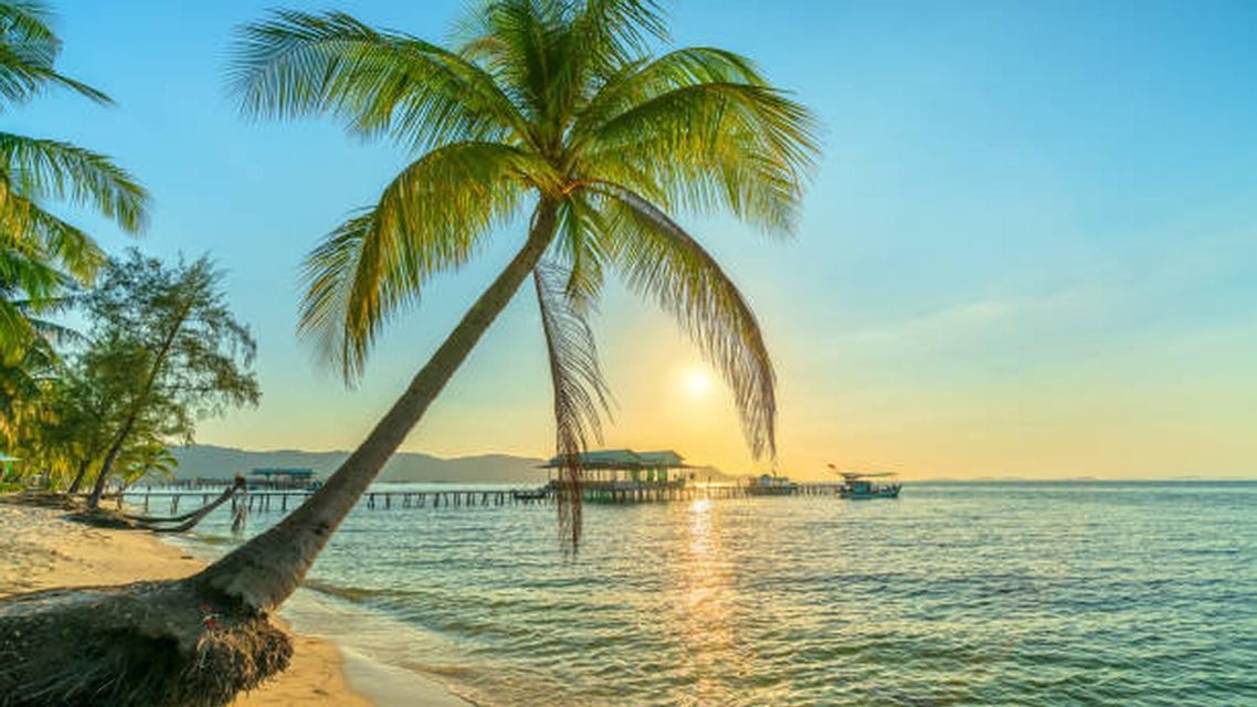 Una palma si china su un mare calmo da una spiaggia sabbiosa al tramonto, con un molo e palafitte in lontananza.