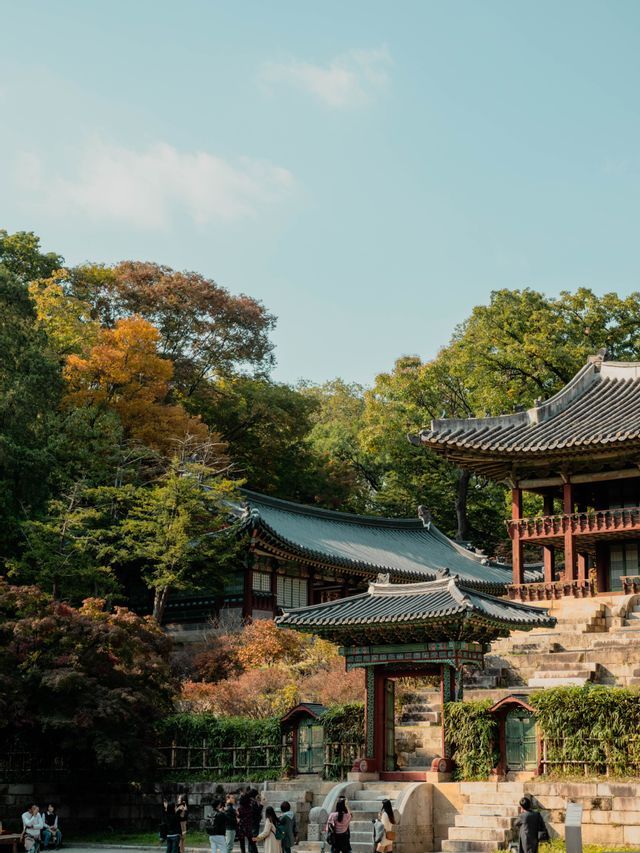 Un viaggio di gruppo WeRoad visita templi tradizionali dell'Asia orientale con tetti a tegole, circondati da fitti alberi dai colori autunnali.