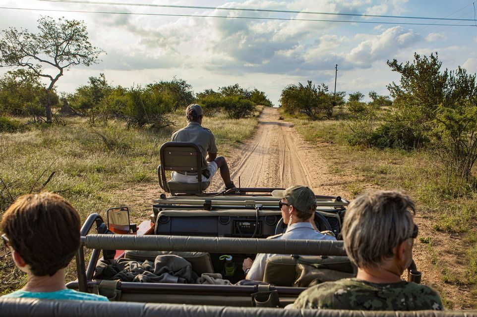 A WeRoad group trip on safari, viewed from the back of a jeep driving down a dirt road in the savanna.