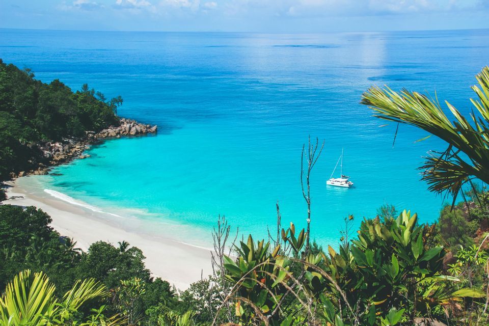 Un catamarano bianco galleggia su acque turchesi in una caletta appartata con una spiaggia di sabbia bianca, visto dall'alto attraverso il fogliame verde.