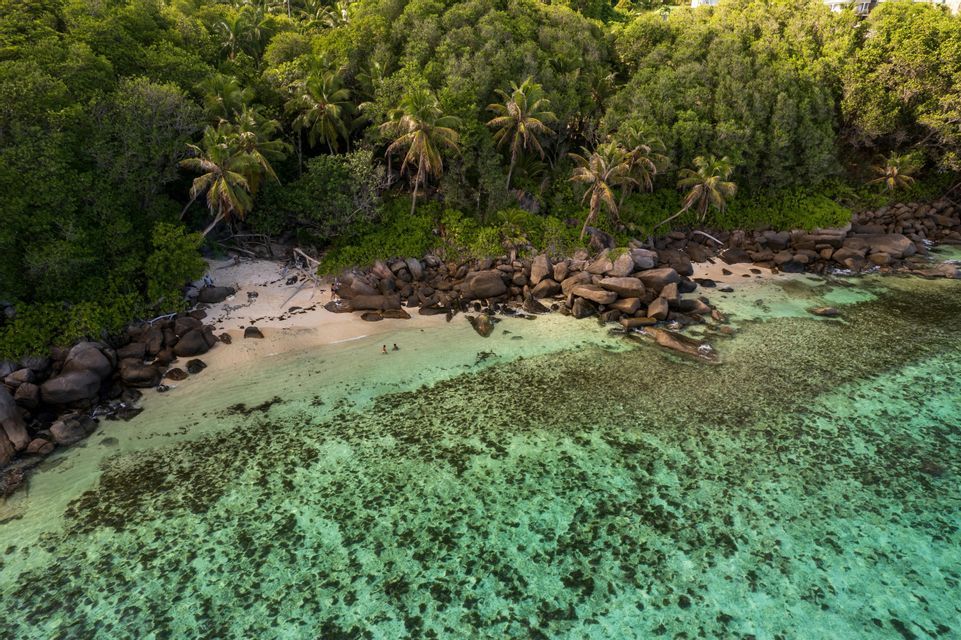 Una vista aerea di una costa tropicale che mostra due persone nell'acqua turchese accanto a una spiaggia sabbiosa e una giungla lussureggiante.