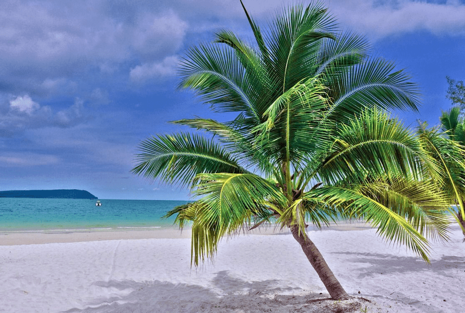Eine Palme lehnt sich über einen weißen Sandstrand neben türkisfarbenem Wasser unter blauem Himmel mit vereinzelten Wolken.