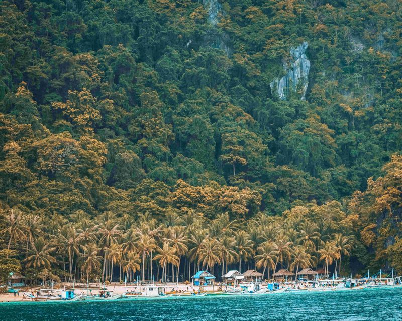 Barcos amarrados en una playa de arena bordeada de palmeras, al pie de una montaña densamente boscosa.