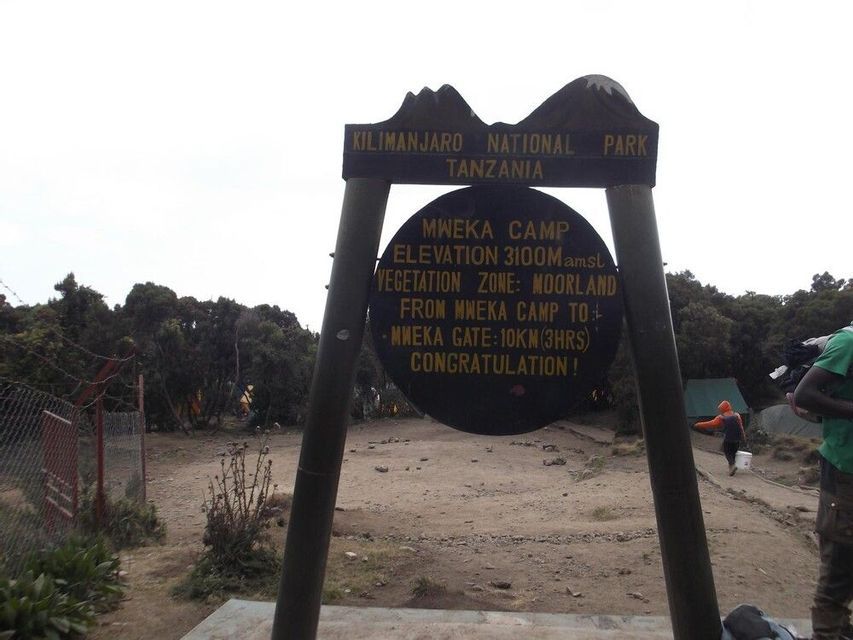 The Mweka Camp sign at Kilimanjaro National Park in Tanzania, showing the elevation of 3100 meters in the moorland zone.