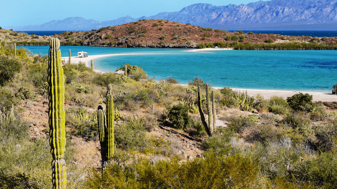 Vista da una collina desertica con alti cactus, che mostra un camper parcheggiato su una lingua di sabbia bianca presso una baia turchese.