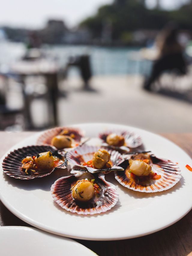 A close-up of a white plate holding cooked scallops in their shells, placed on a table in a bright outdoor setting.