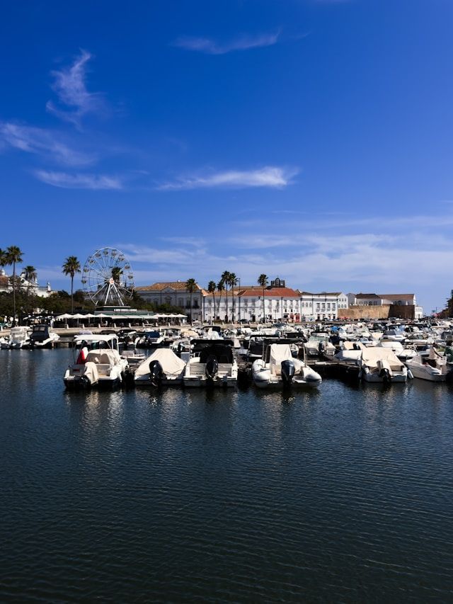 Boats docked in a sunny marina with a city skyline and a large Ferris wheel in the background under a blue sky.
