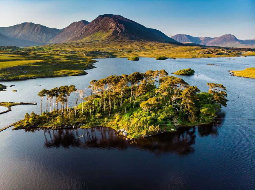 An aerial view of a small island with pine trees surrounded by dark blue water, with green hills and mountains in the distance.