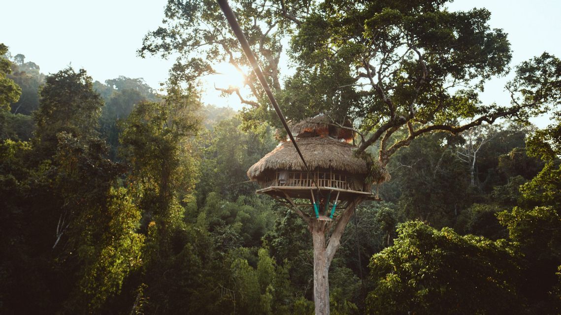 Una casa sull'albero in legno con tetto di paglia, annidata in alto in un grande albero, circondata da una giungla verde lussureggiante con il sole che filtra attraverso la chioma.