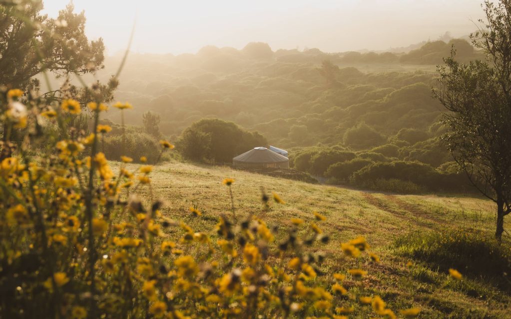Una yurta sorge su una collina erbosa in mezzo a un paesaggio nebbioso all'alba, con fiori selvatici gialli in primo piano.