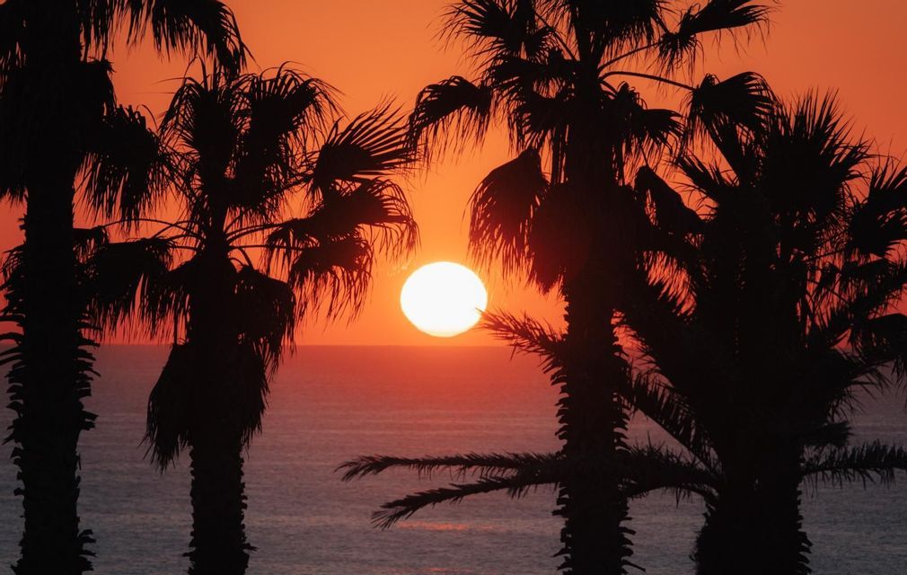 Il sole tramonta sull'oceano, incorniciato dalle sagome di diverse palme contro un cielo arancione intenso.