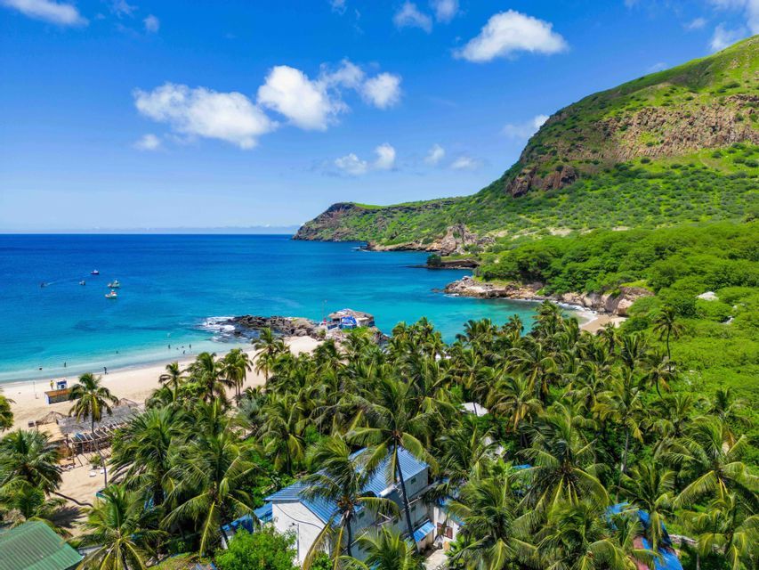 Vue aérienne d'une baie tropicale avec plage de sable blanc, palmiers et eau turquoise sous un ciel bleu.