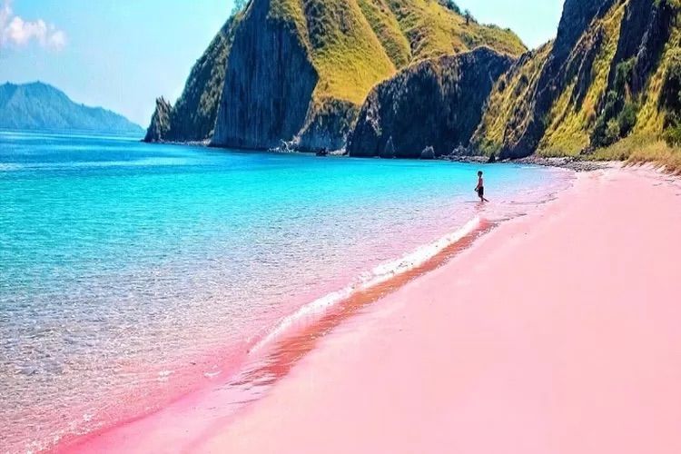 Une personne se tient dans l'océan turquoise peu profond le long d'une plage de sable rose, avec des collines vertes en arrière-plan.