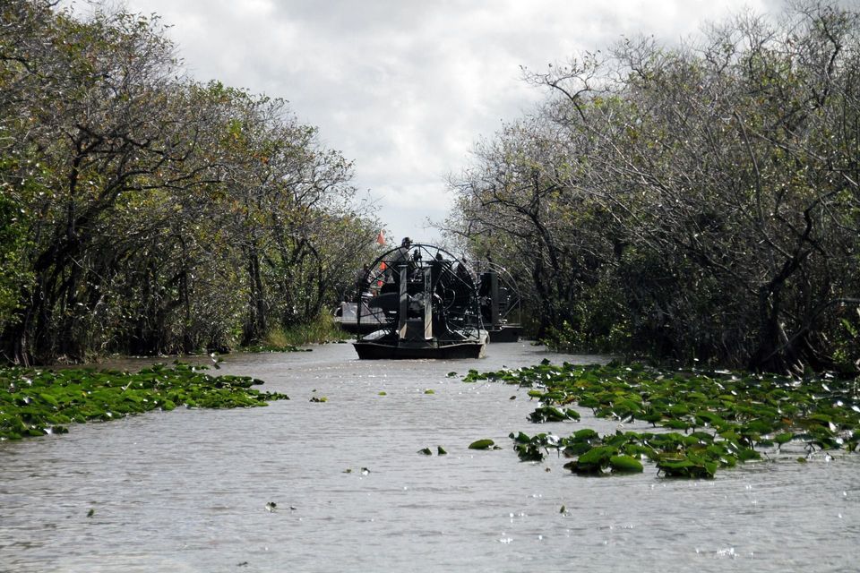 Un viaggio di gruppo WeRoad a bordo di due airboat che navigano in uno stretto canale costeggiato da fitti alberi e ninfee, sotto un cielo nuvoloso.