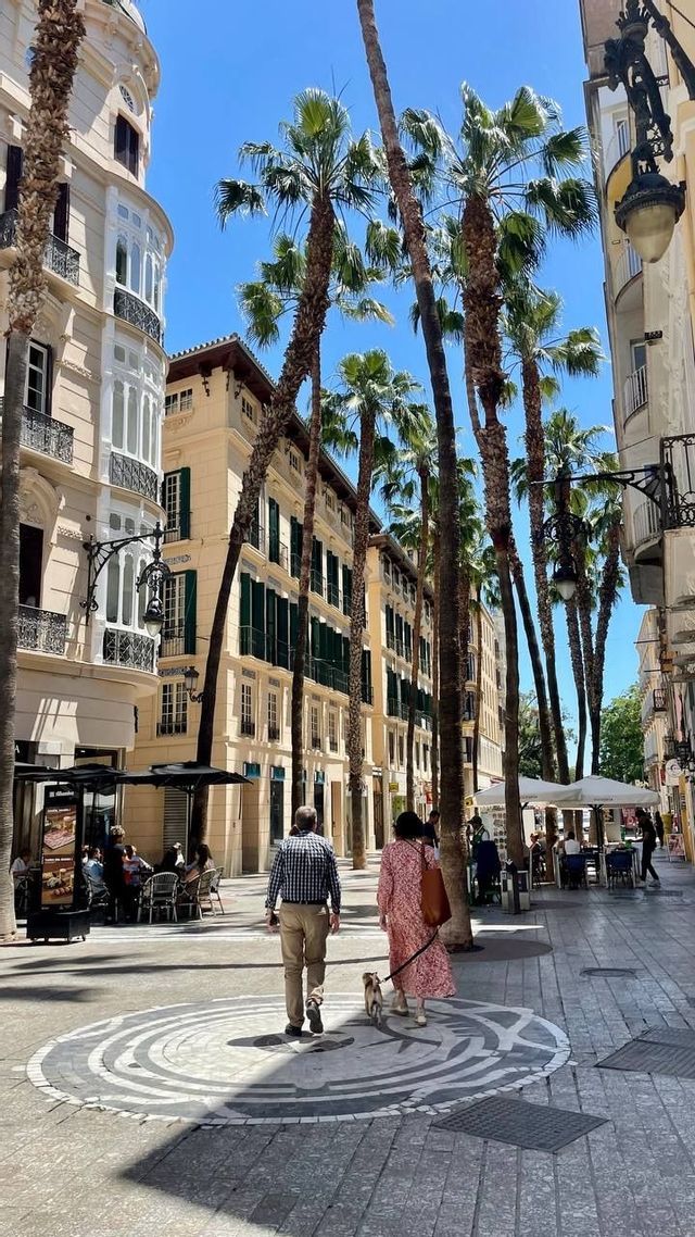 A couple walks a small dog on a leash down a sunny pedestrian street lined with tall palm trees and historic buildings.