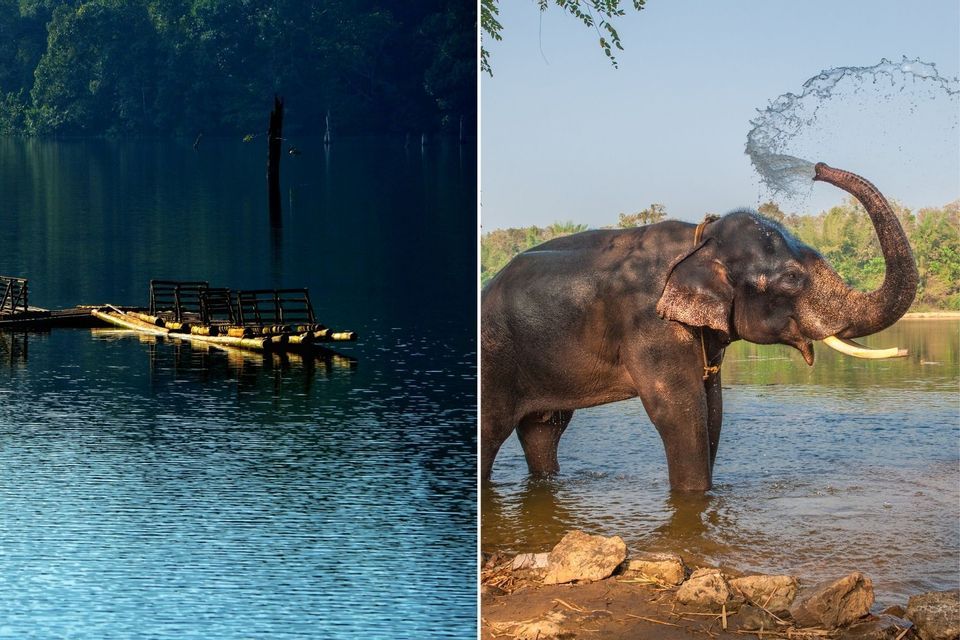 Ein Diptychon, das ein Bambusfloß auf einem See und einen Elefanten mit Stoßzähnen zeigt, der in einem Fluss steht und Wasser mit seinem Rüssel versprüht.