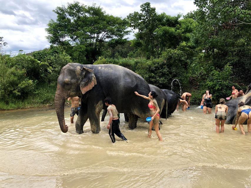 Un groupe WeRoad se baigne et joue avec des éléphants dans une rivière boueuse, au cœur d'une végétation luxuriante.