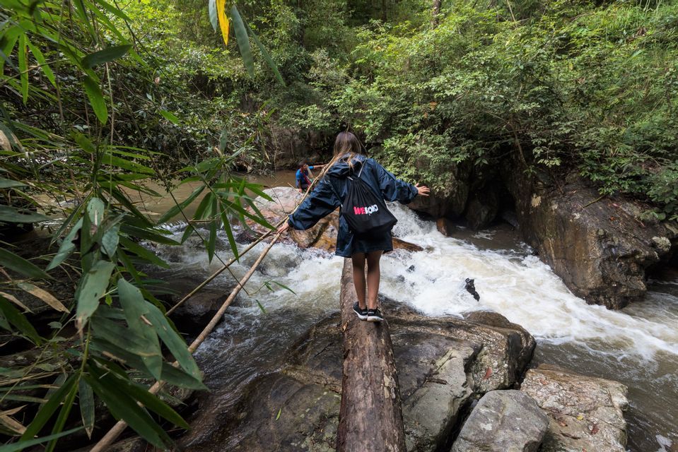 Lors d'un voyage en groupe WeRoad, une femme s'équilibre prudemment sur un tronc d'arbre pour franchir une rivière impétueuse dans une forêt luxuriante.
