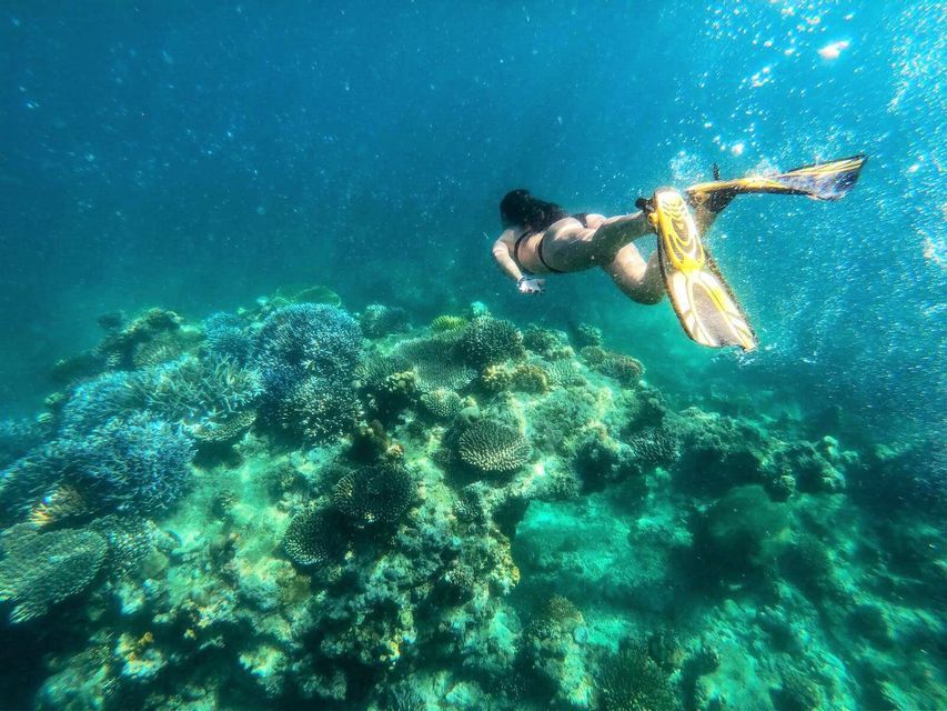 A woman wearing yellow fins snorkels in clear turquoise water over a large coral reef.