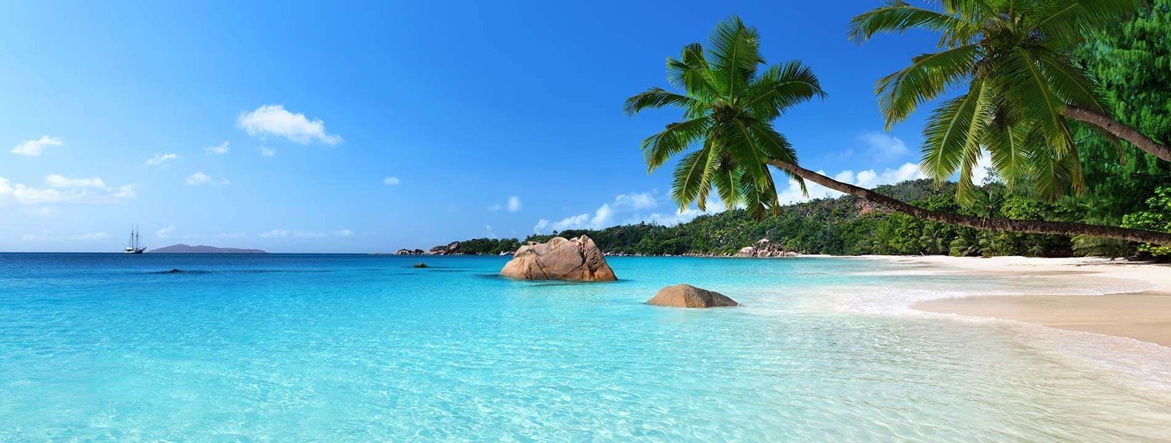 Una scena di spiaggia tropicale con una palma che si protende su acque limpide color turchese, una riva di sabbia bianca e grandi rocce sotto un cielo blu.
