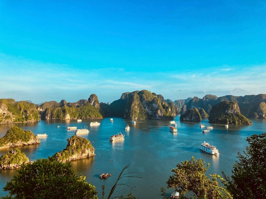 Una vista dall'alto di numerose imbarcazioni turistiche su acqua azzurra, che navigano tra grandi formazioni rocciose ricoperte di verde sotto un cielo sereno.